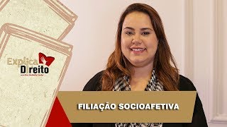 Explica Direito Filiação Socioafetiva  2019 [upl. by Vlada]