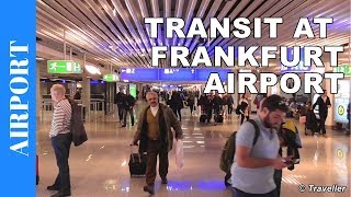 TRANSIT WALK AT FRANKFURT Airport FRA Terminal 1  Connection Flight Transfer Arriving amp Departing [upl. by Namlas878]